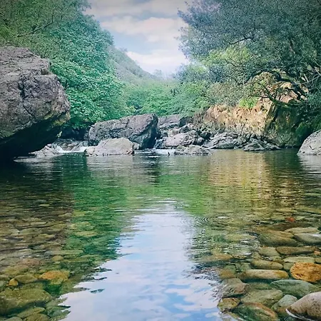 The Duddon Nest *
