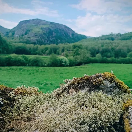 Апартаменты The Duddon Nest Ulpha